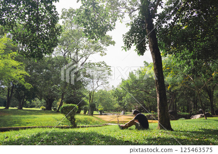 wellness concept with tree in park on summer season wellness concept with tree in park on summer season 125463575