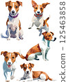Jack Russell Terrier watercolor illustration set 125463858