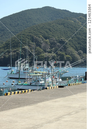 (Mikiura Fishing Port) 003 125463864