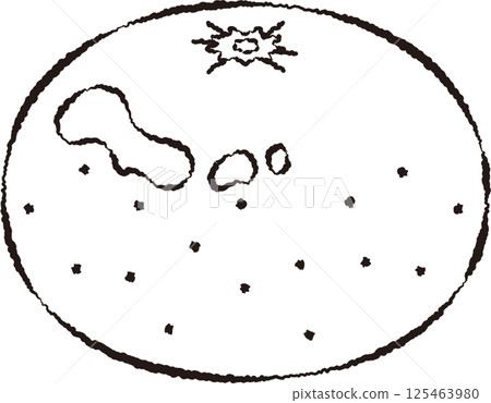 Mandarin orange (line drawing) 125463980