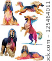 Afghan hound watercolor illustration set 125464011