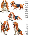 Basset hound watercolor illustration set 125464014