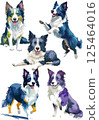 Border collie watercolor illustration set 125464016
