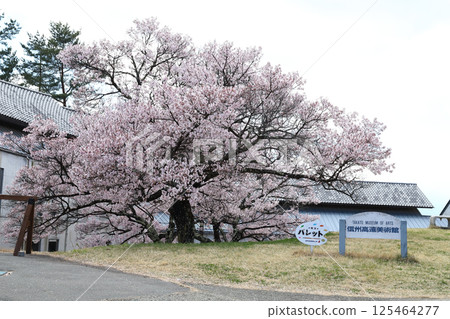 信州高遠美術館（長野縣高遠町） 125464277