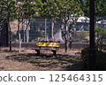 There is nobody bench 125464315