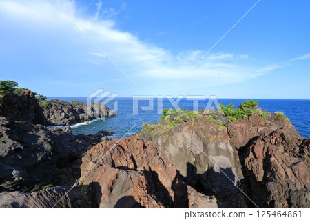 靜岡縣伊東市城崎海岸 125464861