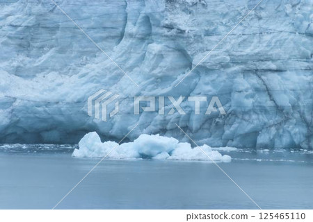 Blue Glacier and Ice in Alaskan Wilderness 125465110