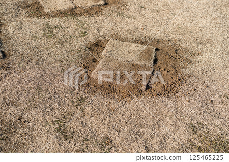 下種 播種 草坪 125465225