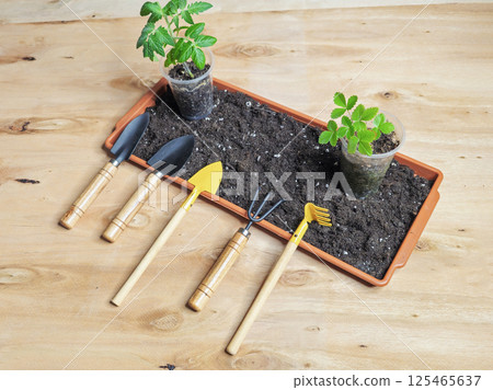 tools for floriculture, indoor floriculture tools for floriculture, indoor floriculture 125465637