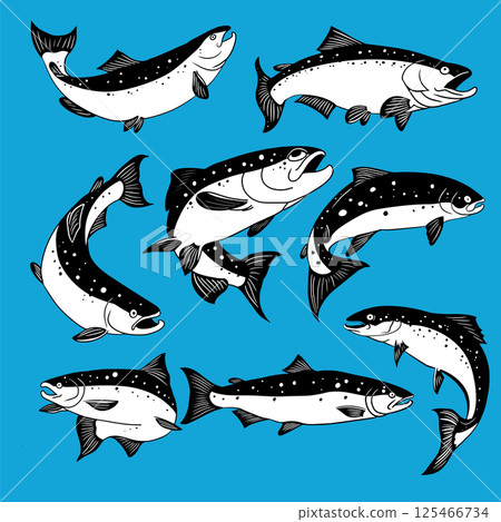 The Salmon fish for sport or food concept. The Salmon fish for sport or food concept. 125466734
