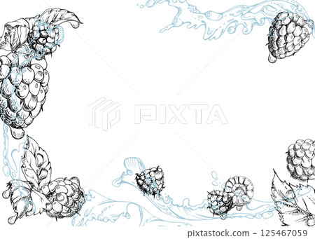 Raspberry berries leaves flying in water splash, dew drops, ripe garden dewberry cloudberry mulberry loganberry tayberry hand drawn in vector ink. Isolated border corner frame. Menu, farmers market Raspberry berries leaves flying in water splash, dew drops, ripe garden dewberry cloudberry mulberry loganberry tayberry hand drawn in vector ink. Isolated border corner frame. Menu, farmers market 125467059