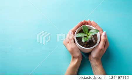 hand holding plant pot with young plant  Empty space Minimal Background 125467513