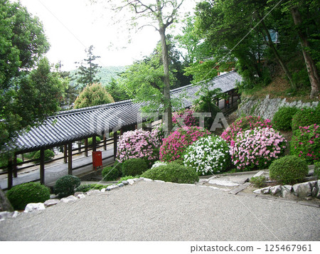 岡山縣吉備津神社的迴廊（從惠比壽神社拍攝） 125467961