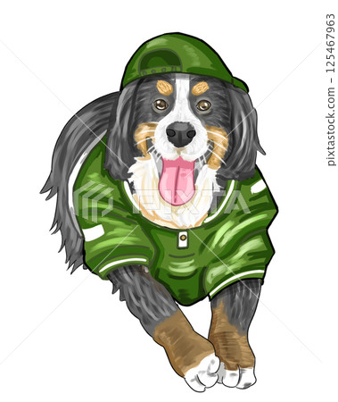 伯恩山犬 125467963