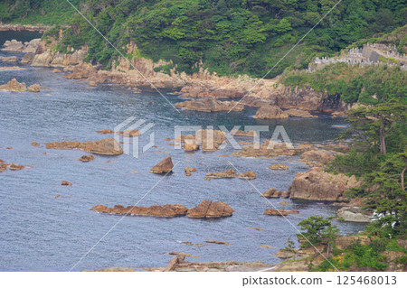 The view from Cape Omachi (Toyooka Seto, Hyogo Prefecture) 125468013