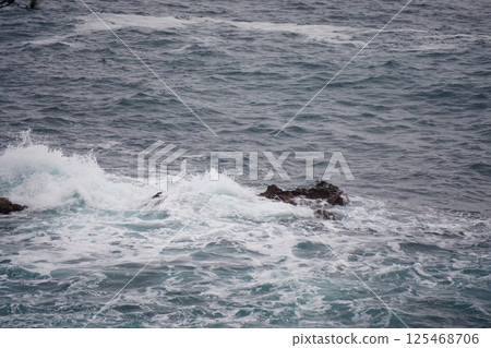 Sea spray 125468706