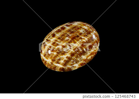 Aragonite Patterns drawn by nature Aragonite Patterns drawn by nature 125468743
