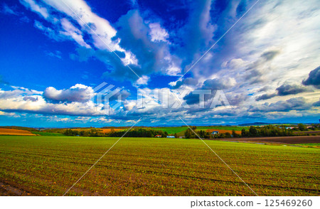 Rare Weather 125469260