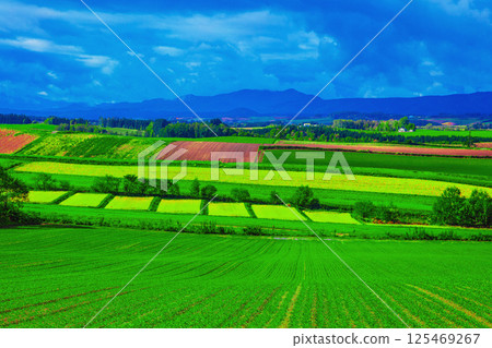 美麗的富良野 美麗的富良野 125469267