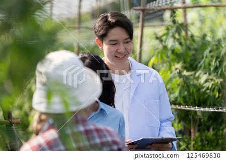 Happy researcher reviewing cannabis growth data with colleagues in a greenhouse. Happy researcher reviewing cannabis growth data with colleagues in a greenhouse. 125469830