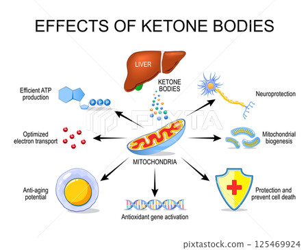 Effects of ketone bodies on mitochondria and human health. 125469924