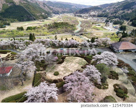 Aerial view of the Japan Kokeshi Museum with cherry blossoms in full bloom 125470384