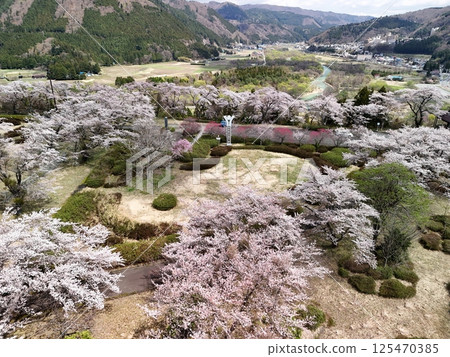 Aerial view of the Japan Kokeshi Museum with cherry blossoms in full bloom 125470385
