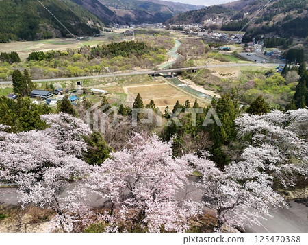 Aerial view of the Japan Kokeshi Museum with cherry blossoms in full bloom Aerial view of the Japan Kokeshi Museum with cherry blossoms in full bloom 125470388