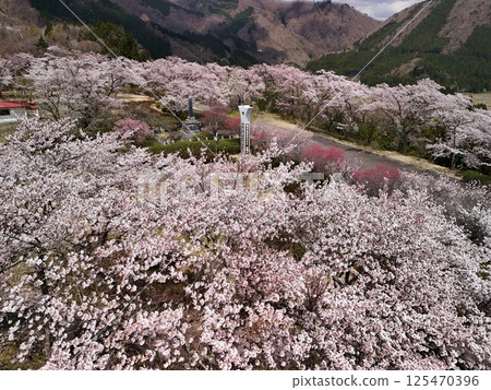 Aerial view of the Japan Kokeshi Museum with cherry blossoms in full bloom 125470396