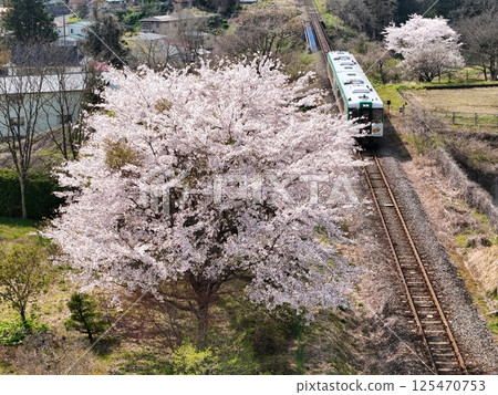 櫻花盛開的JR陸羽東線鳥瞰圖 125470753