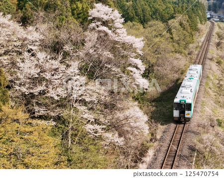櫻花盛開的JR陸羽東線鳥瞰圖 125470754
