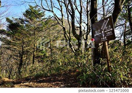 Hashita Pass in the Tenshi Mountains, the saddle between Amegatake and Ryugatake 125471000