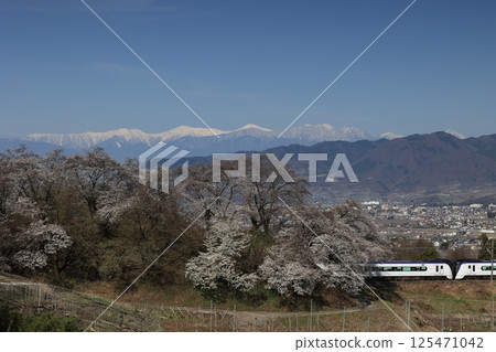 舊勝沼站和中央本線折返線上的櫻花 125471042