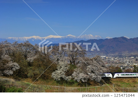 Cherry blossoms on the switchback line at the old Katsunuma Station and the Chuo Main Line 125471044
