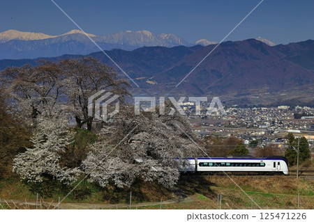 舊勝沼站和中央本線折返線上的櫻花 125471226