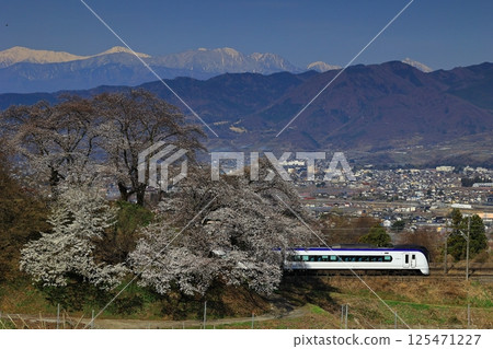 舊勝沼站和中央本線折返線上的櫻花 125471227
