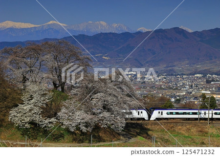 Cherry blossoms on the switchback line at the old Katsunuma Station and the Chuo Main Line 125471232