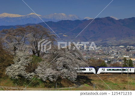 Cherry blossoms on the switchback line at the old Katsunuma Station and the Chuo Main Line Cherry blossoms on the switchback line at the old Katsunuma Station and the Chuo Main Line 125471233