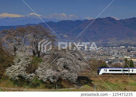 Cherry blossoms on the switchback line at the old Katsunuma Station and the Chuo Main Line Cherry blossoms on the switchback line at the old Katsunuma Station and the Chuo Main Line 125471235