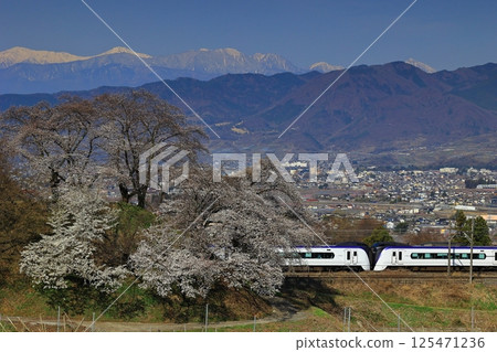 舊勝沼站和中央本線折返線上的櫻花 125471236