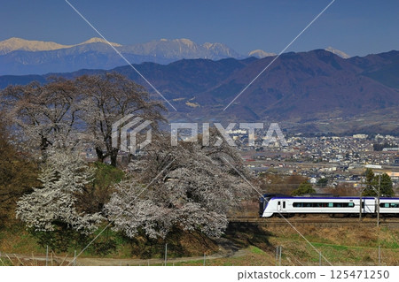Cherry blossoms on the switchback line at the old Katsunuma Station and the Chuo Main Line Cherry blossoms on the switchback line at the old Katsunuma Station and the Chuo Main Line 125471250