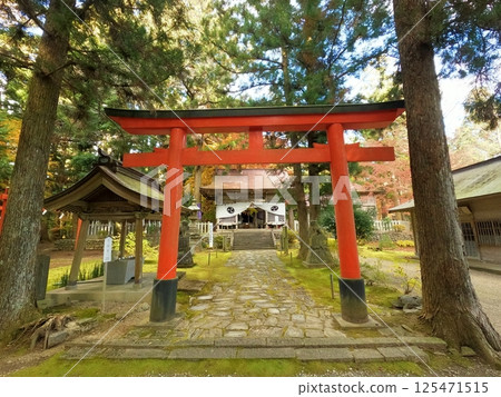 八幡神社的秋葉 八幡神社的秋葉 125471515