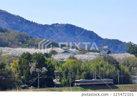 Cherry blossoms and Minobu Line during Kabuki performance Cherry blossoms and Minobu Line during Kabuki performance 125472101