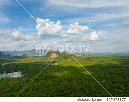 High angle view mountains rainforest trees nature background 125472177