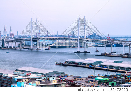 日本橫濱市容,在大黑碼頭眺望豪華遊輪伊莉莎白女王號(橫濱有四艘豪華遊輪)=4月26日 日本橫濱市容,在大黑碼頭眺望豪華遊輪伊莉莎白女王號(橫濱有四艘豪華遊輪)=4月26日 125472923
