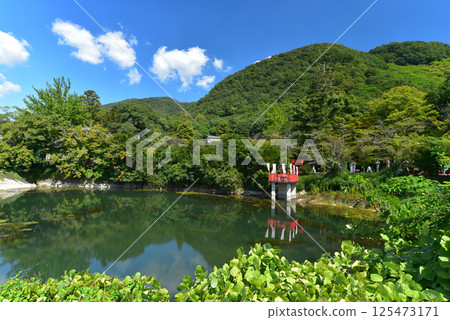 Izumo Grand Shrine, Kamiike Benzaiten Shrine and Mt. Mikage Izumo Grand Shrine, Kamiike Benzaiten Shrine and Mt. Mikage 125473171