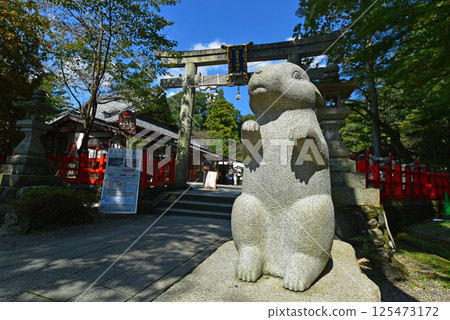 Izumo Grand Shrine: Rabbit and Torii Gate Izumo Grand Shrine: Rabbit and Torii Gate 125473172