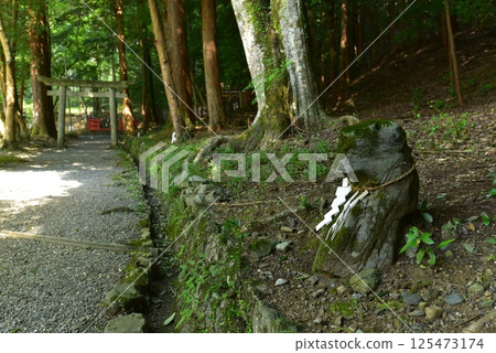 Izumo Grand Shrine: The sacred rocks of the forest Izumo Grand Shrine: The sacred rocks of the forest 125473174
