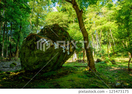 Moss-covered rock formations at Izumo Daijingu Shrine Moss-covered rock formations at Izumo Daijingu Shrine 125473175