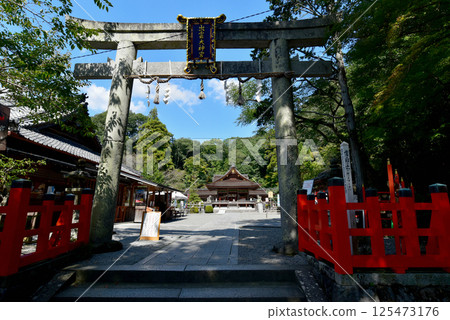 Izumo Daijingu Shrine - Main hall seen from the torii gate Izumo Daijingu Shrine - Main hall seen from the torii gate 125473176